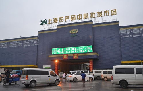上海農產品中心批發市場 從農貿樞紐到鞋帽批發的多元探索